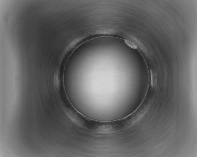 X0000110690252200906121232