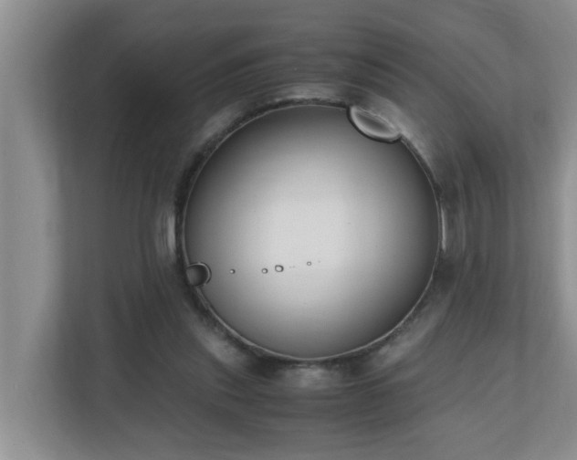 X0000110690253200906121232