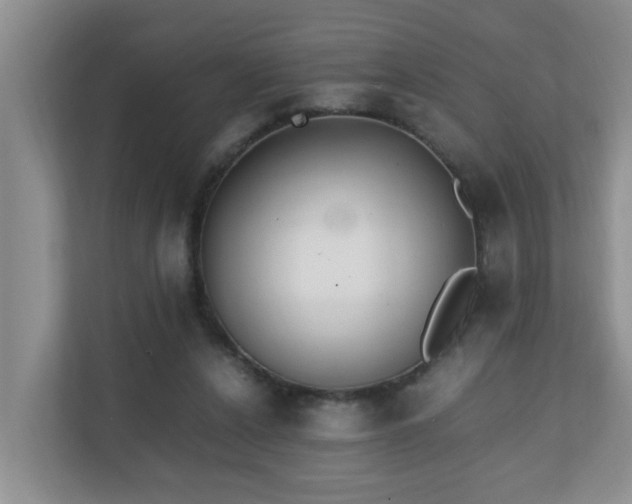 X0000110690256200906121232