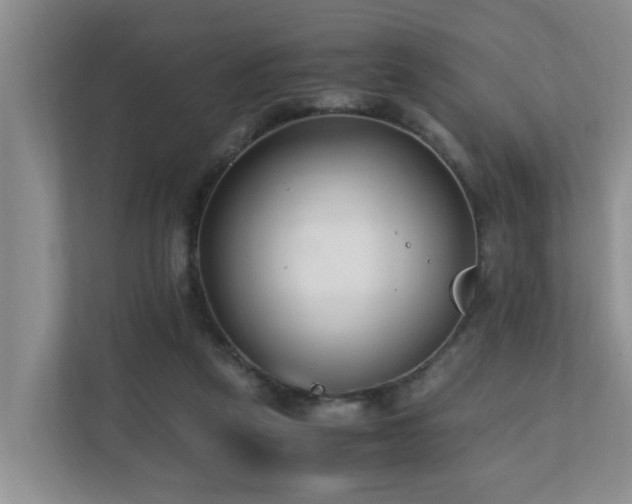 X0000110690257200906121232