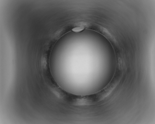 X0000110690259200906121232