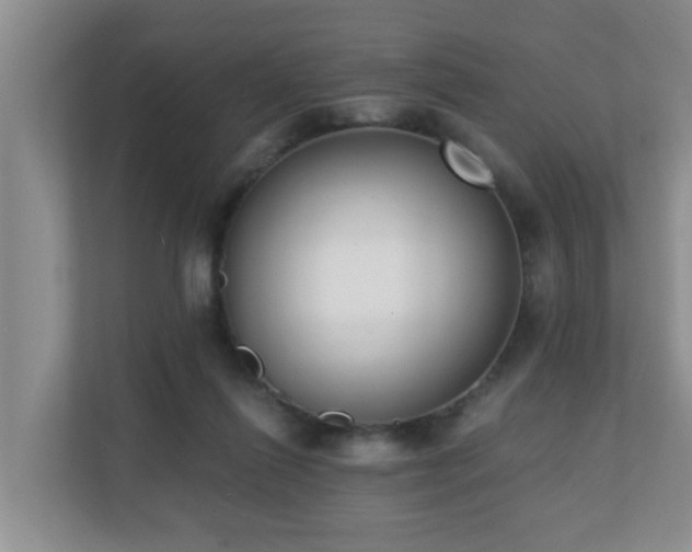 X0000110690262200906121232