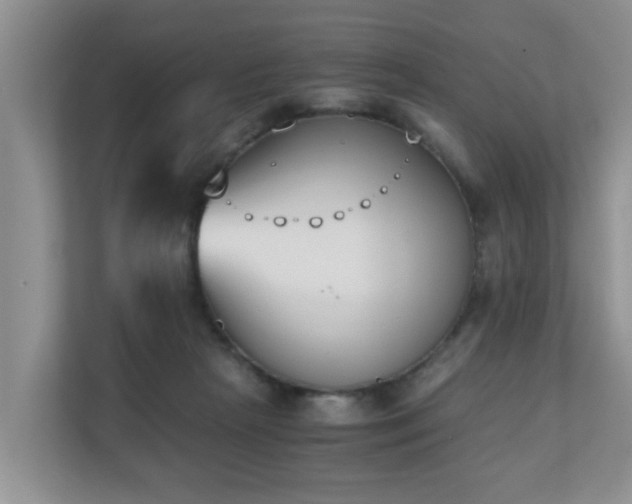 X0000110690265200906121232