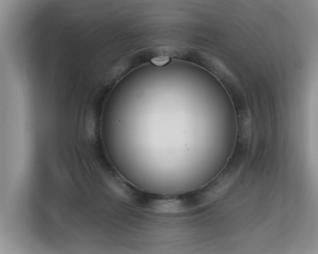 X0000110690266200906121232