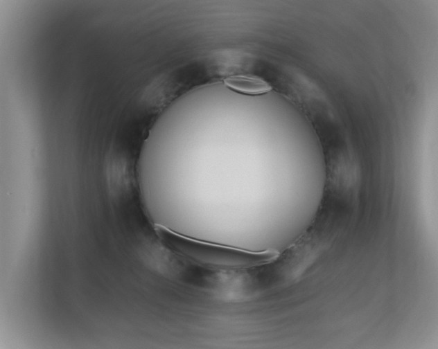 X0000110690272200906121232