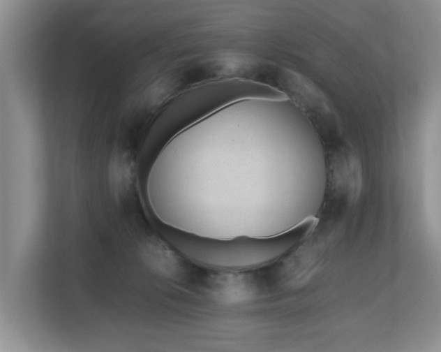 X0000110690276200906121232