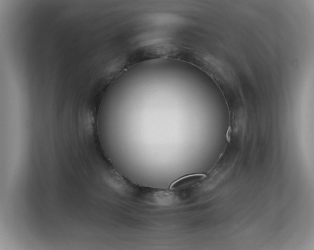 X0000110690279200906121232