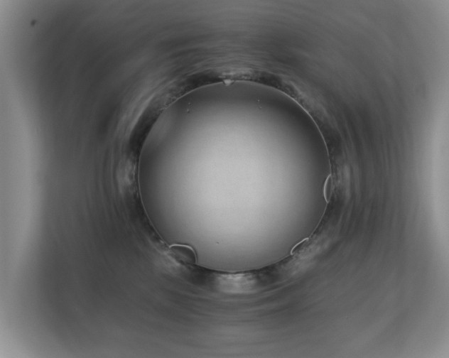 X0000110690281200906121232