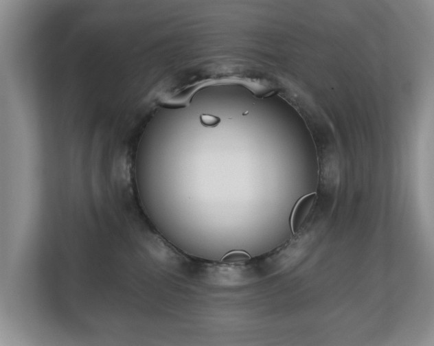 X0000110690282200906121232