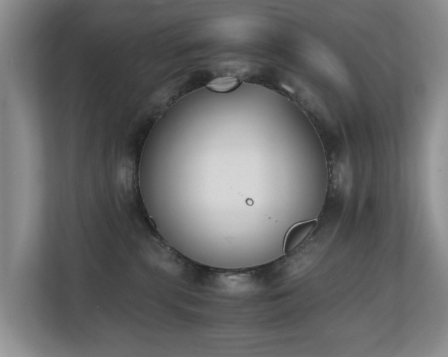 X0000110690283200906121232