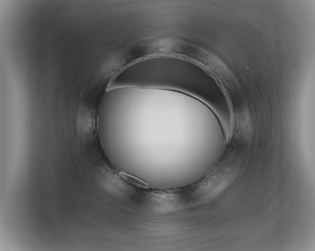 X0000110690284200906121232