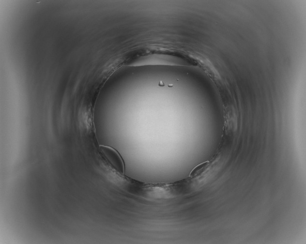 X0000110690285200906121232