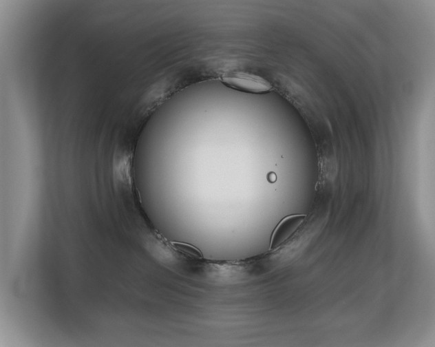 X0000110690286200906121232