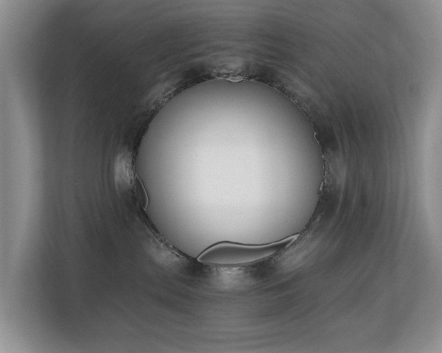 X0000110690287200906121232