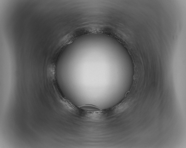 X0000110690288200906121232