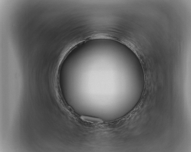 X0000110690289200906121231