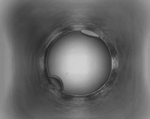 X0000110690291200906121231