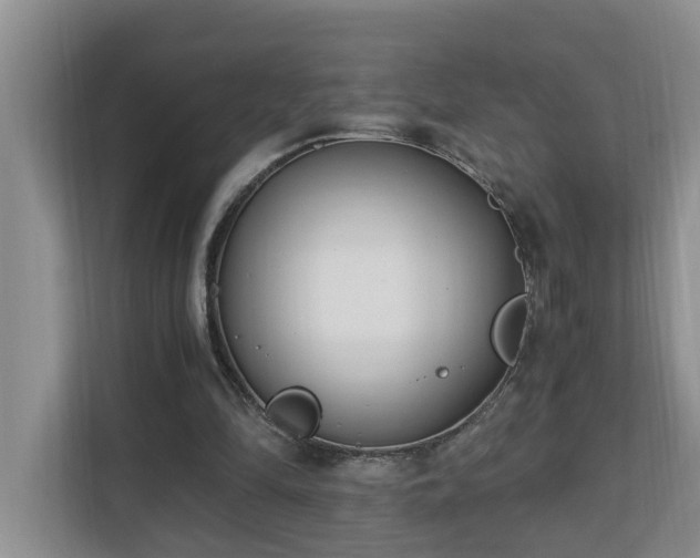 X0000110690294200906121231