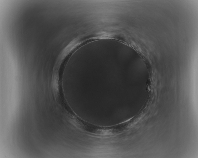 X0000110690295200906121231