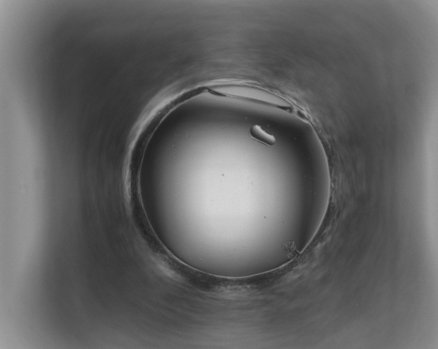 X0000110690296200906121231