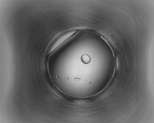 X0000110690300200906121231