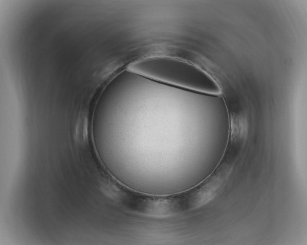 X0000110690301200906121231