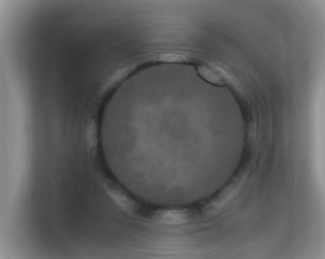 X0000110690303200906121231