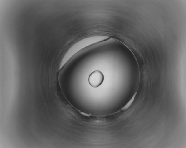 X0000110690308200906121231