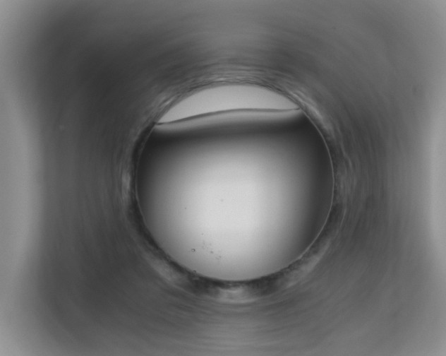 X0000110690309200906121231