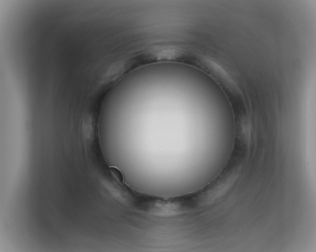 X0000110690311200906121231