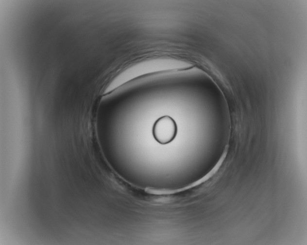 X0000110690313200906121231