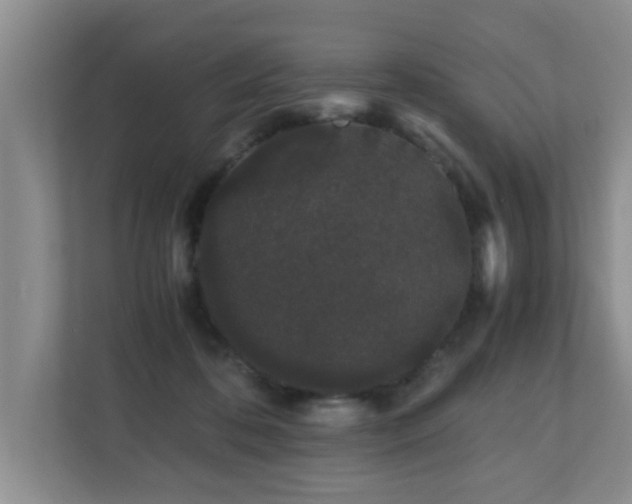 X0000110690316200906121231