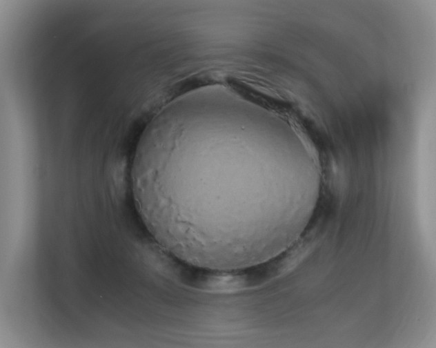 X0000110690319200906121231