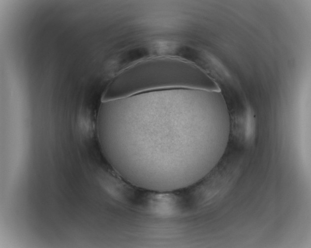 X0000110690324200906121231