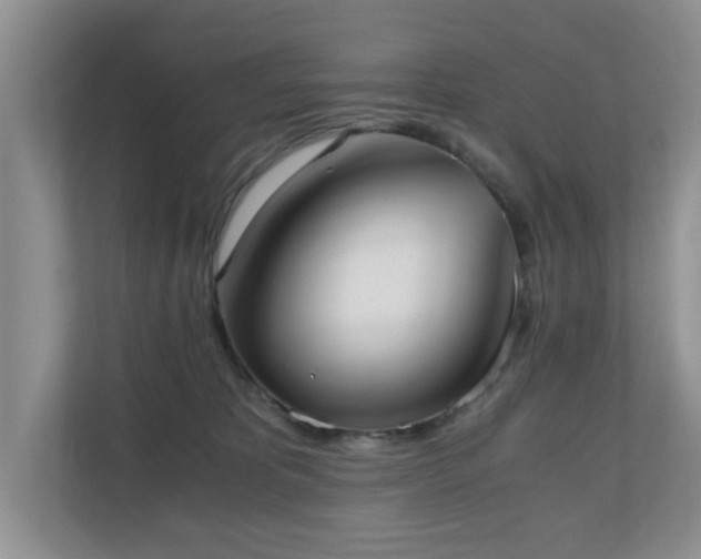 X0000110690325200906121231