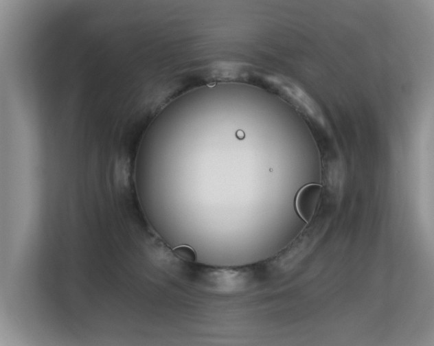 X0000110690326200906121231