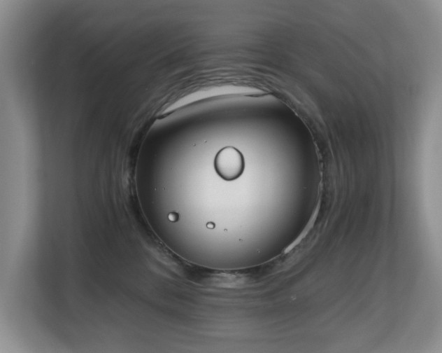 X0000110690328200906121231