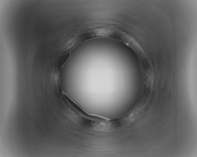 X0000110690329200906121231