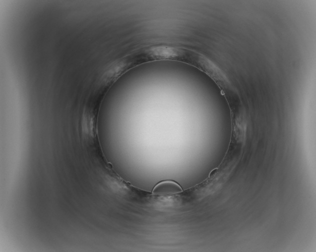 X0000110690330200906121231