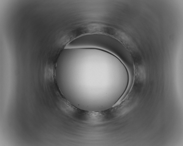 X0000110690333200906121231