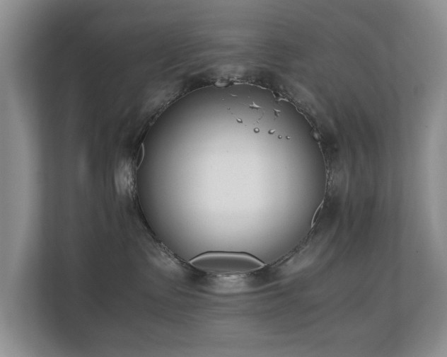 X0000110690335200906121231