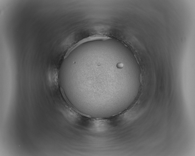 X0000110690336200906121231