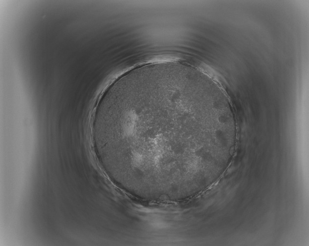 X0000110690337200906121230