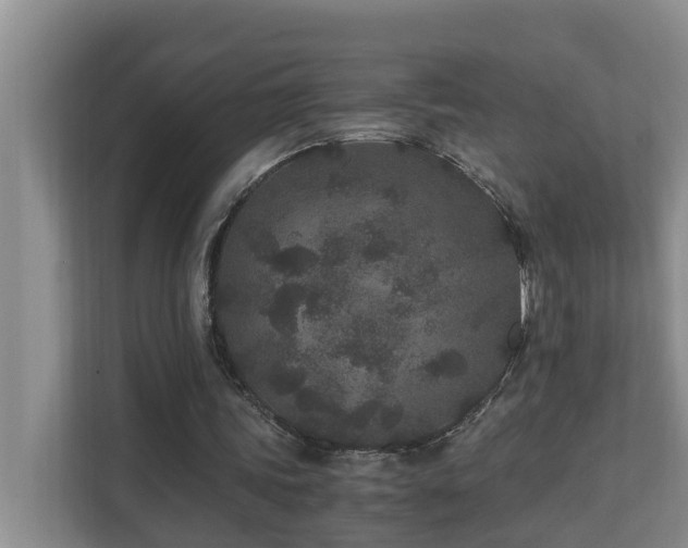 X0000110690339200906121230