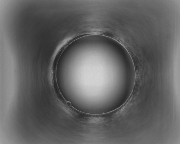 X0000110690342200906121230