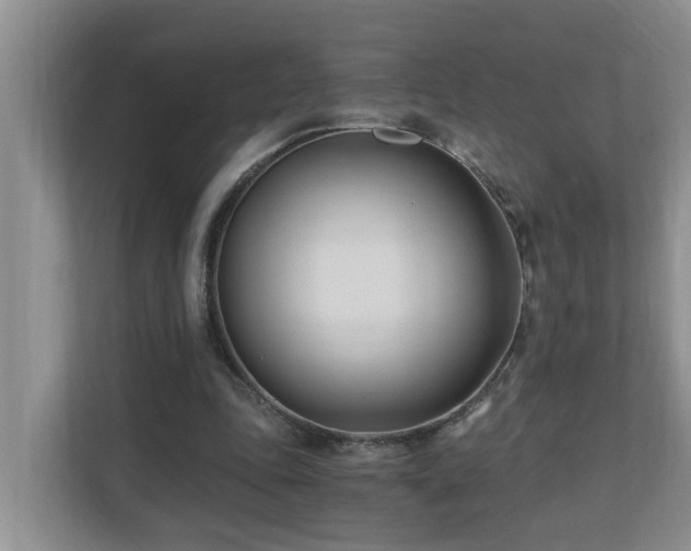 X0000110690343200906121230