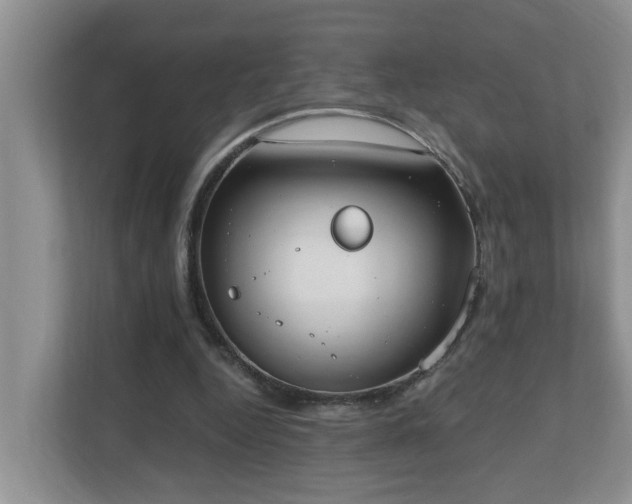 X0000110690344200906121230