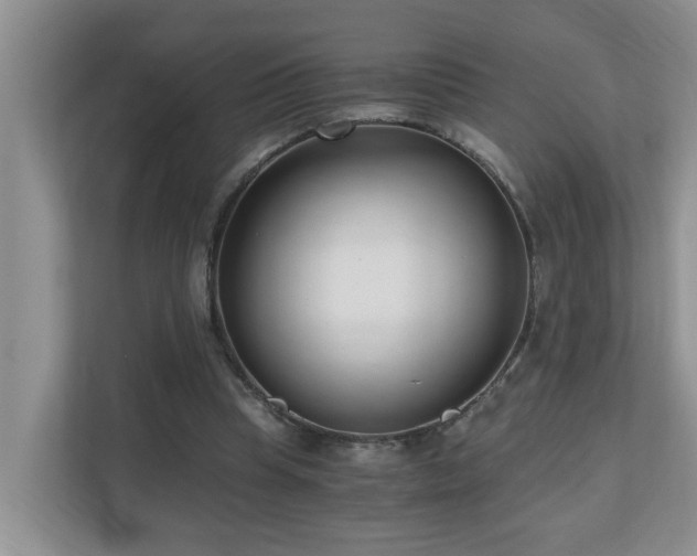 X0000110690345200906121230