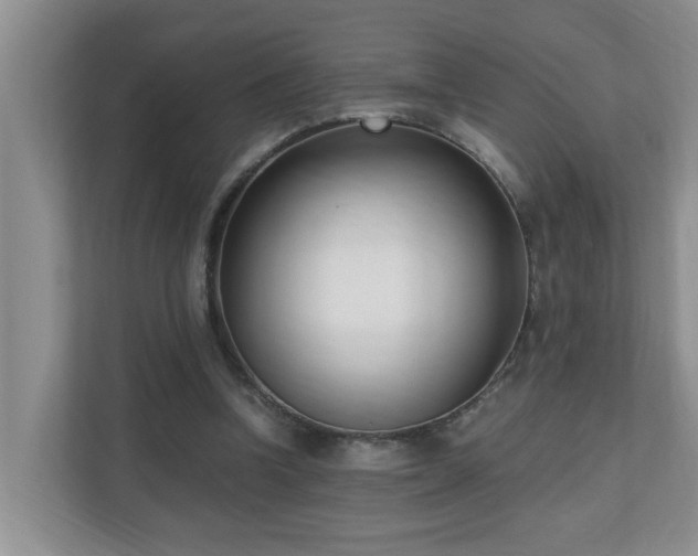 X0000110690346200906121230