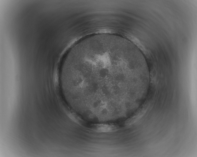 X0000110690347200906121230